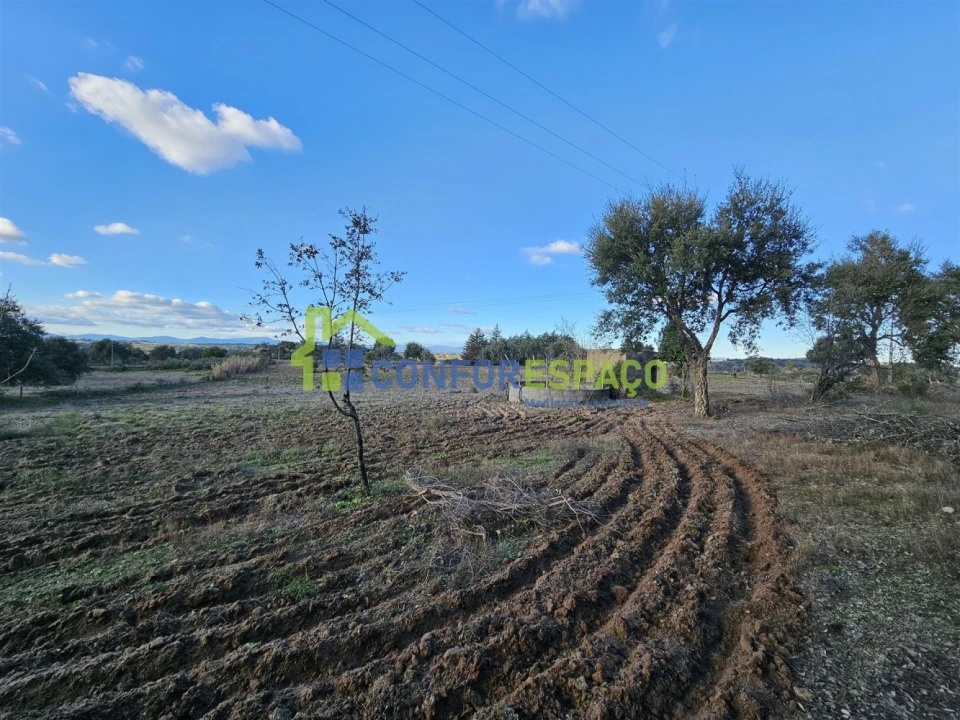 Terreno para Venda em Castelo Branco Foto 15