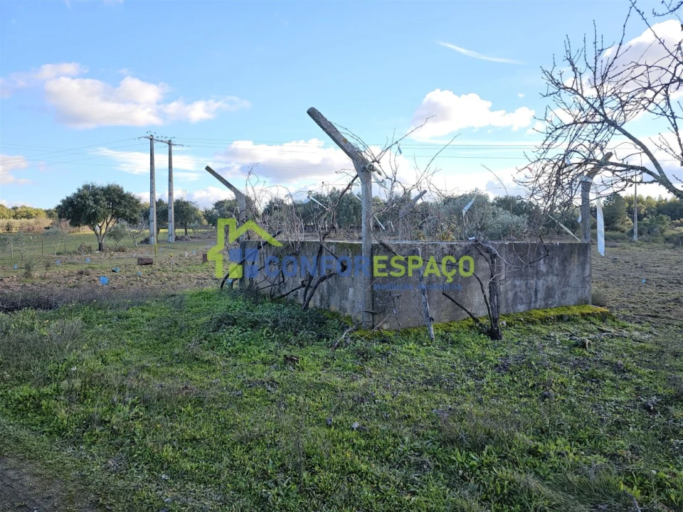 Terreno para Venda em Castelo Branco Foto 7