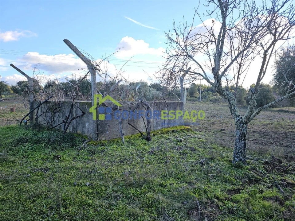 Terreno para Venda em Castelo Branco Foto 8
