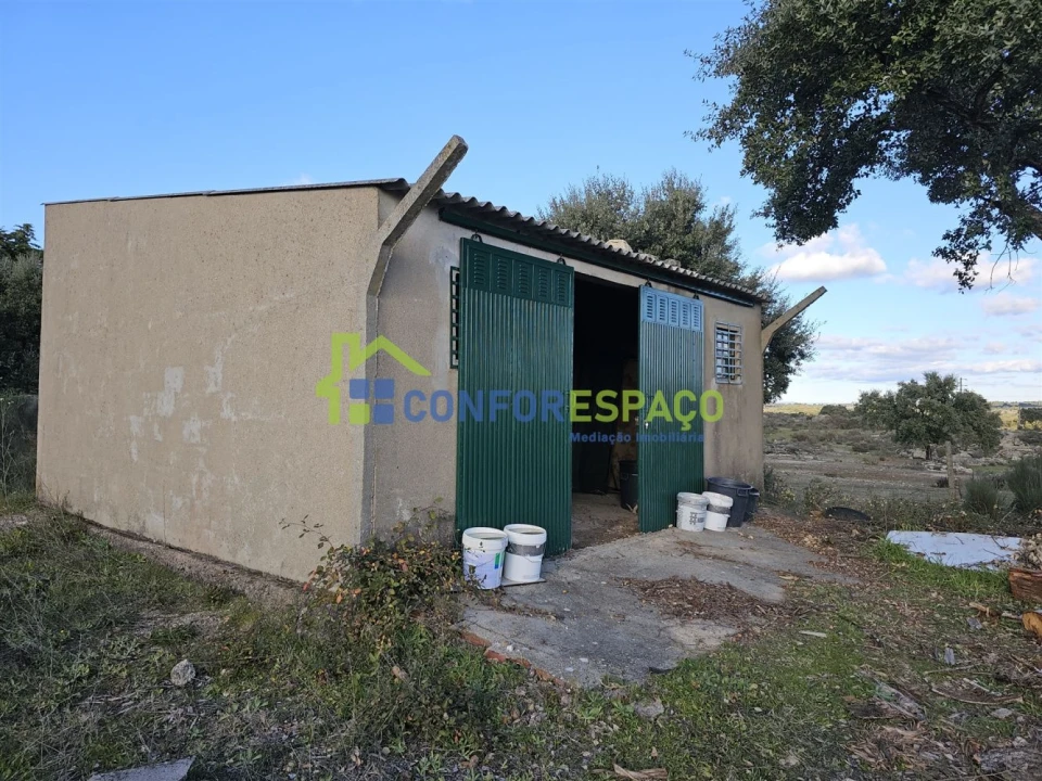 Terreno para Venda em Castelo Branco Foto 1