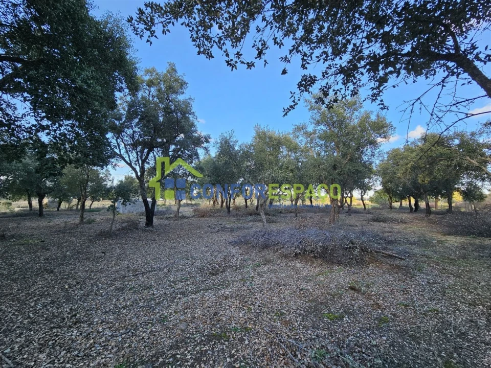 Terreno para Venda em Castelo Branco Foto 27