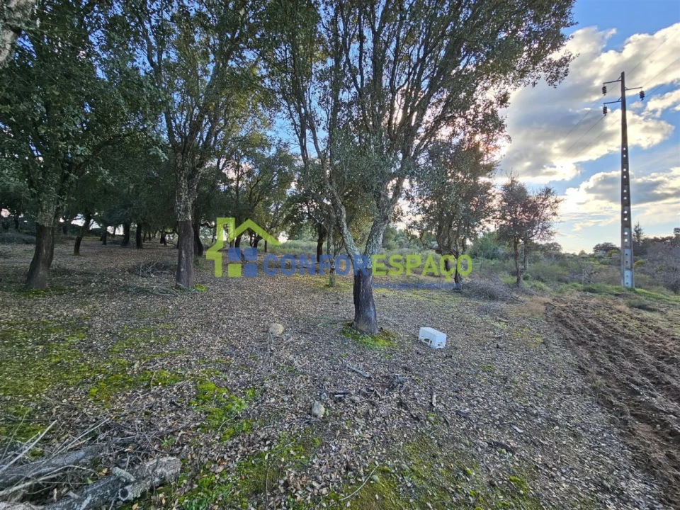 Terreno para Venda em Castelo Branco Foto 19