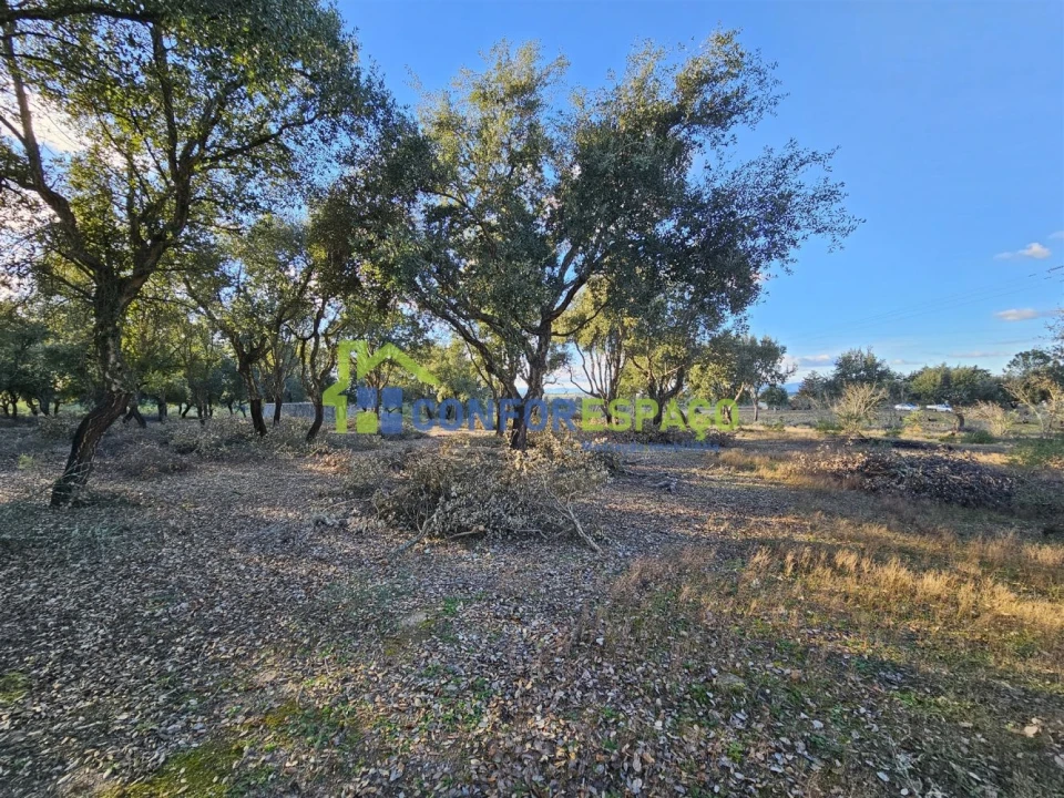 Terreno para Venda em Castelo Branco Foto 33