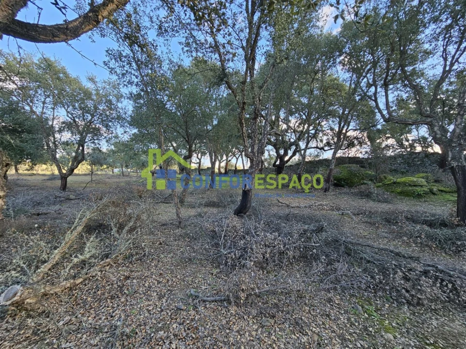 Terreno para Venda em Castelo Branco Foto 25