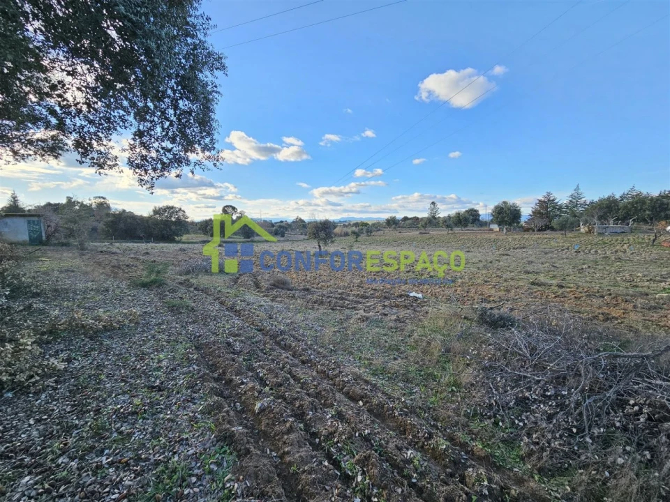 Terreno para Venda em Castelo Branco Foto 11