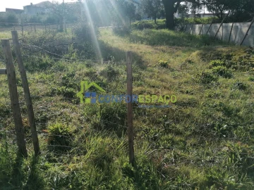 Terreno para Venda em Castelo Branco