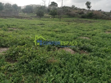 Quinta T0 para Venda em Castelo Branco