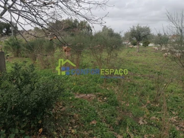Quinta T0 para Venda em Castelo Branco