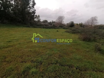 Quinta T0 para Venda em Castelo Branco