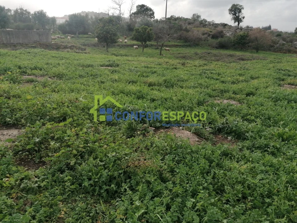 Quinta T0 para Venda em Castelo Branco Foto 14