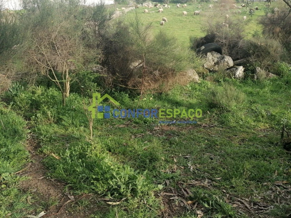 Quinta T0 para Venda em Castelo Branco Foto 3