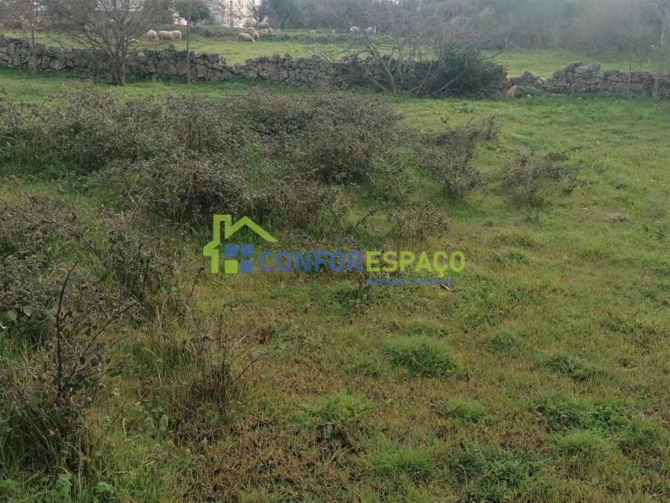 Quinta T0 para Venda em Castelo Branco Foto 7