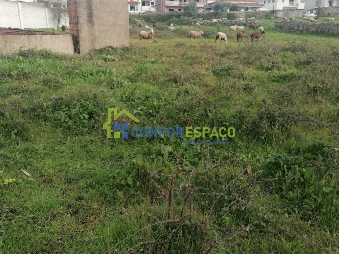 Quinta T0 para Venda em Castelo Branco Foto 6