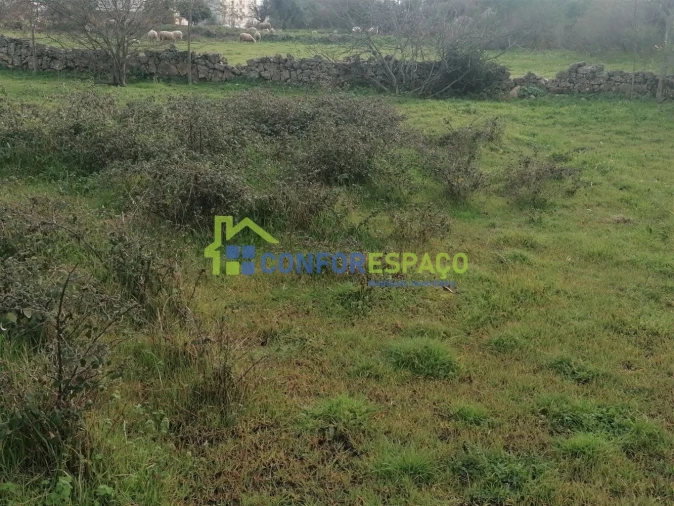 Quinta T0 para Venda em Castelo Branco Foto 7