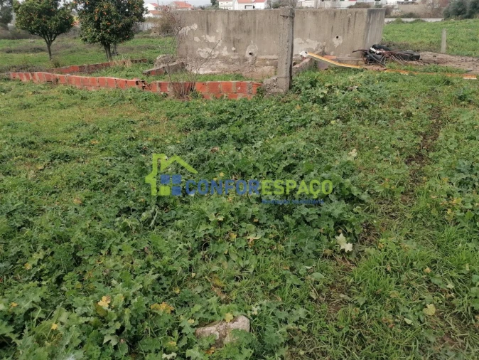 Quinta T0 para Venda em Castelo Branco Foto 21