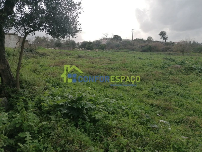 Quinta T0 para Venda em Castelo Branco Foto 13