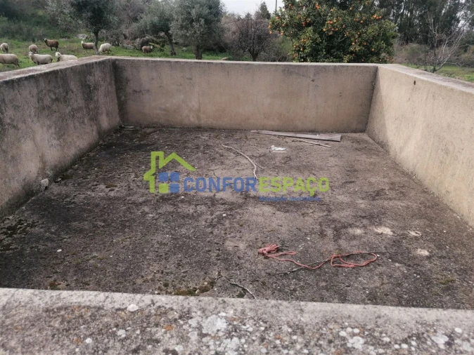 Quinta T0 para Venda em Castelo Branco Foto 15