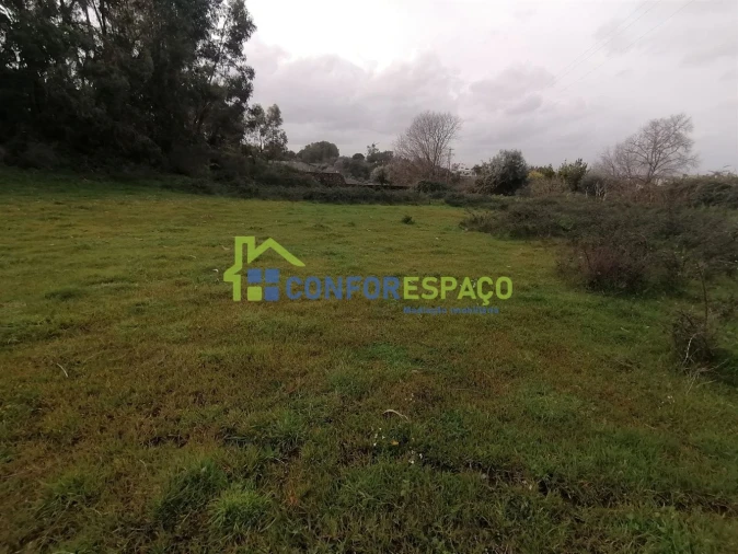 Quinta T0 para Venda em Castelo Branco Foto 5