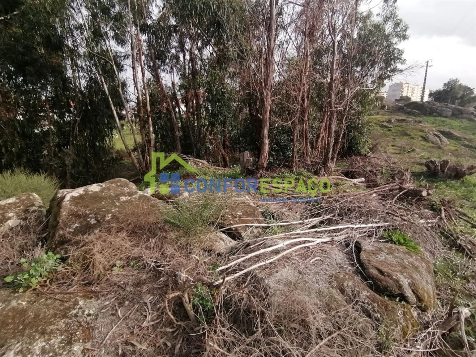 Quinta T0 para Venda em Castelo Branco Foto 2