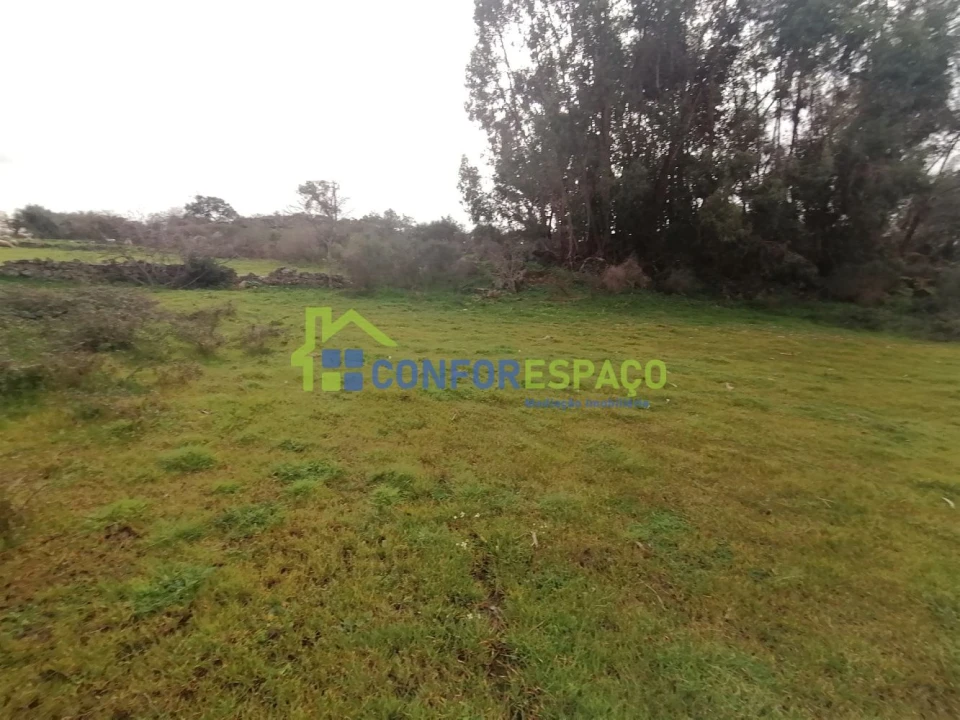 Quinta T0 para Venda em Castelo Branco Foto 8