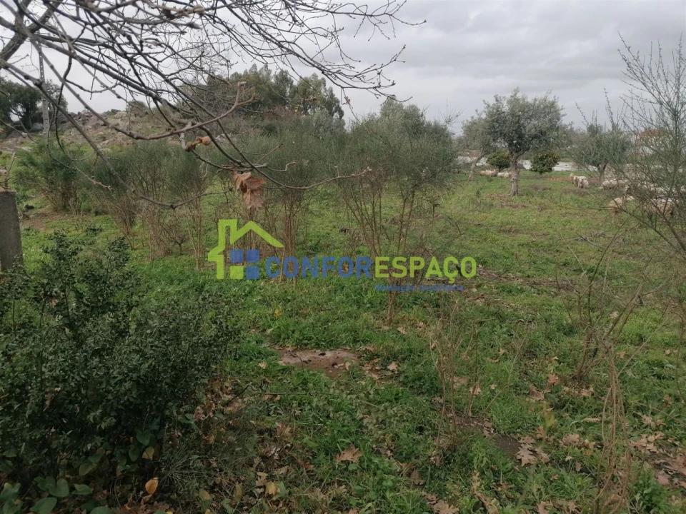 Quinta T0 para Venda em Castelo Branco Foto 16