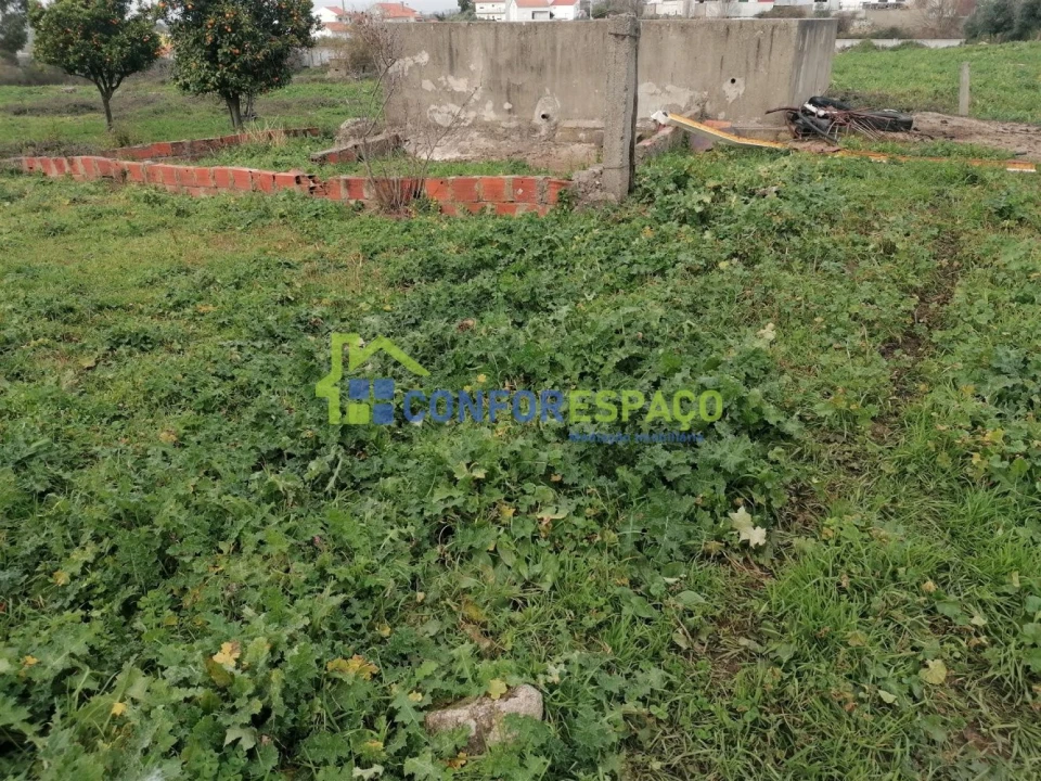 Quinta T0 para Venda em Castelo Branco Foto 21