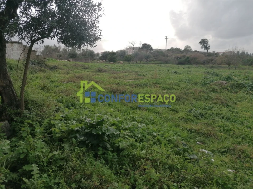 Quinta T0 para Venda em Castelo Branco Foto 13