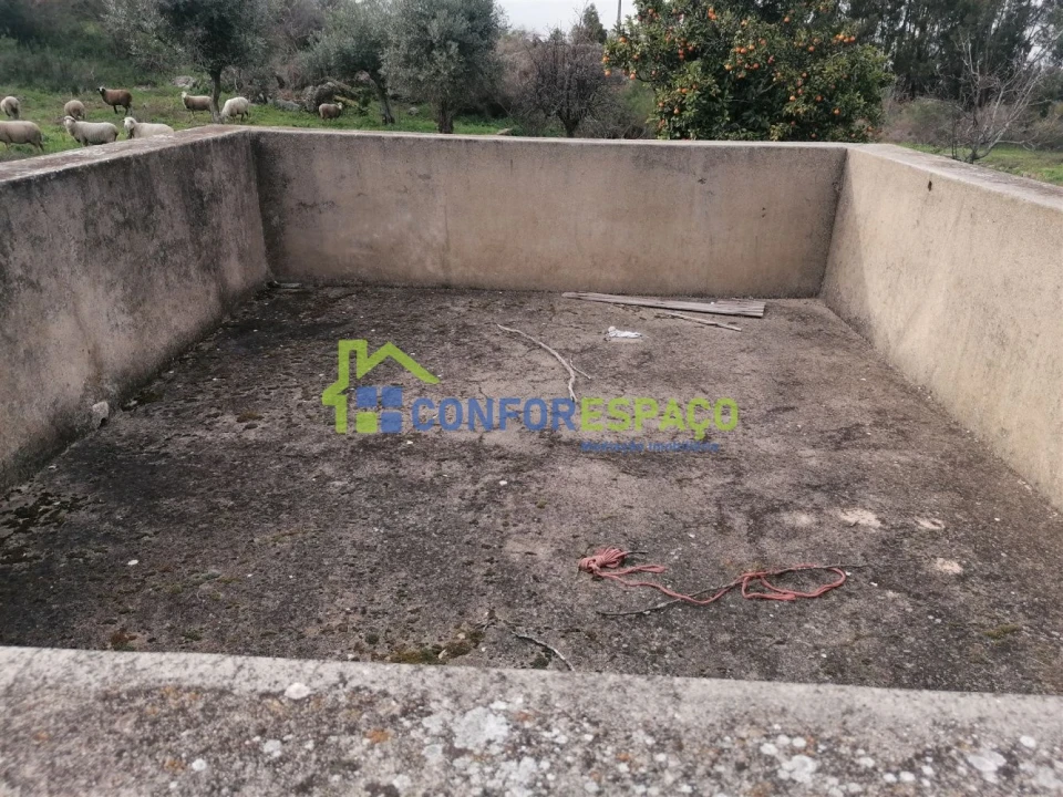 Quinta T0 para Venda em Castelo Branco Foto 15