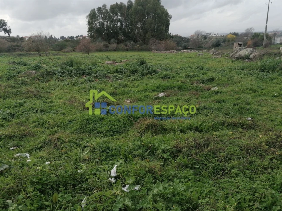 Quinta T0 para Venda em Castelo Branco Foto 12