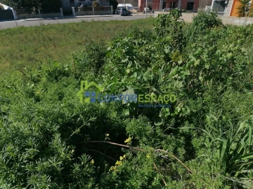 Terreno para Venda em Castelo Branco