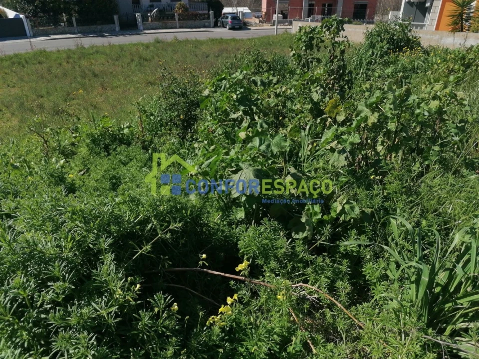 Terreno para Venda em Castelo Branco Foto 2