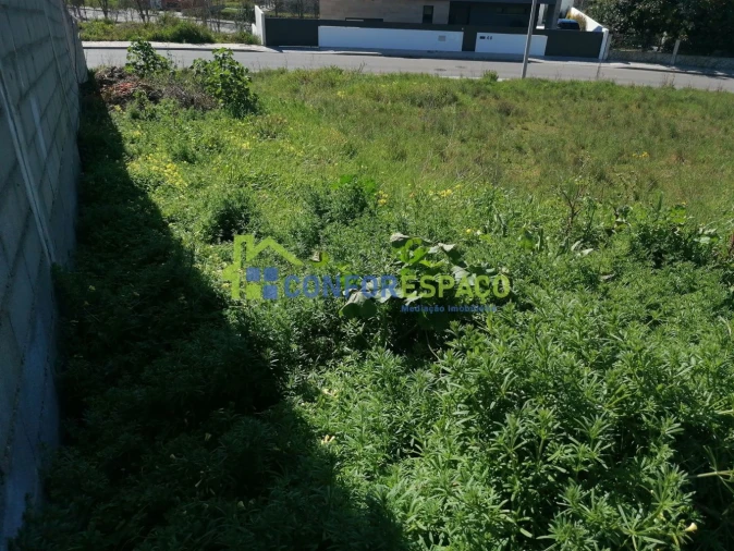Terreno para Venda em Castelo Branco Foto 3