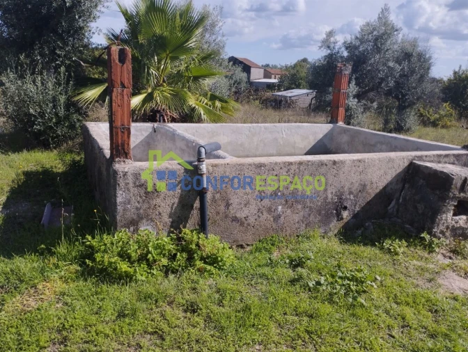 Quinta T1 para Venda em Louriçal do Campo Foto 2