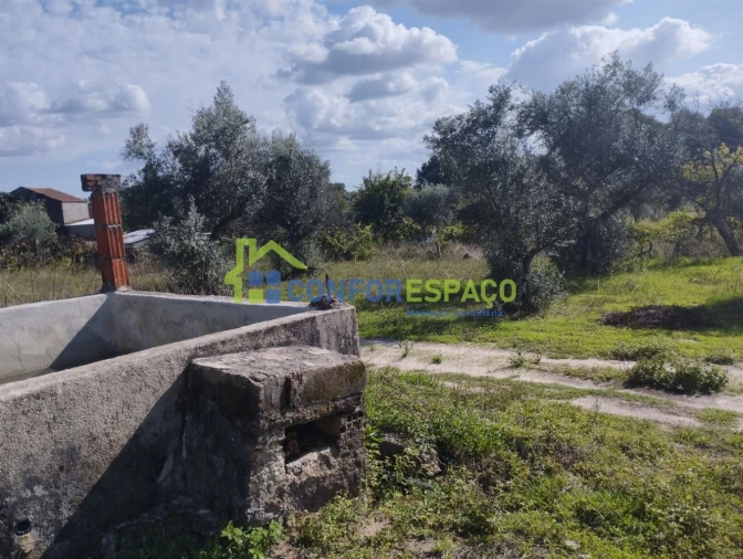 Quinta T1 para Venda em Louriçal do Campo