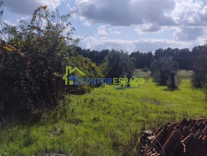 Quinta T1 para Venda em Louriçal do Campo Foto 6