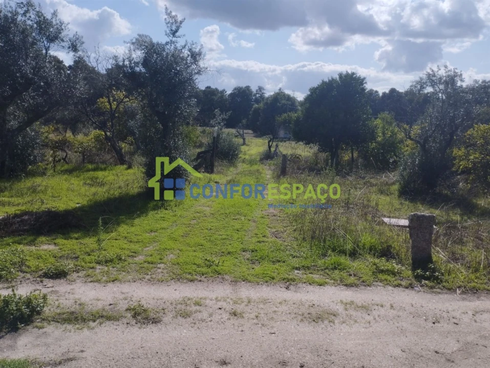 Quinta T1 para Venda em Louriçal do Campo Foto 7