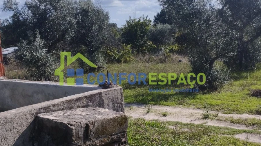 Quinta T1 para Venda em Louriçal do Campo