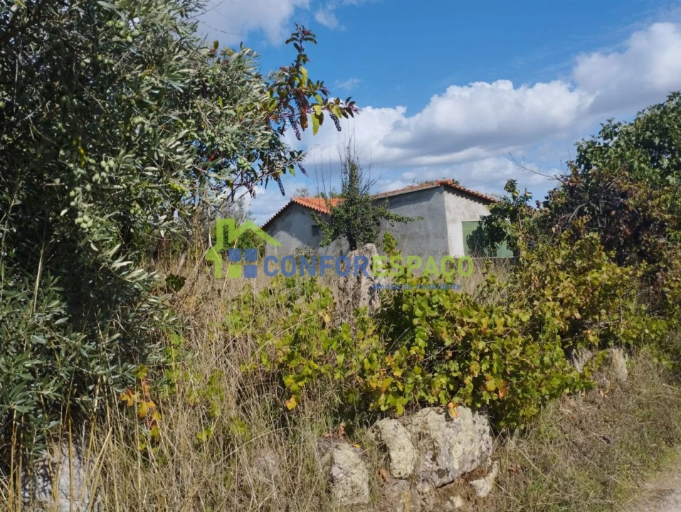Quinta T1 para Venda em Louriçal do Campo Foto 3