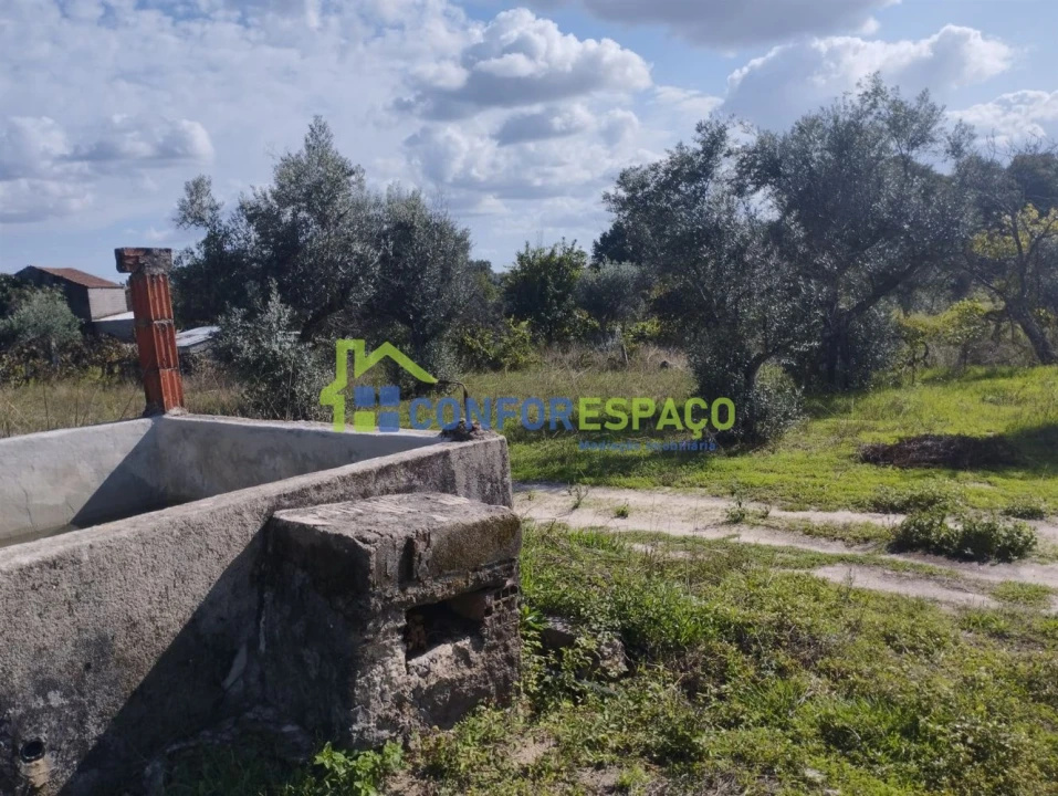 Quinta T1 para Venda em Louriçal do Campo Foto 1