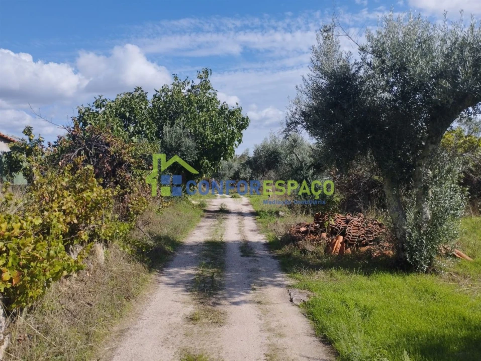 Quinta T1 para Venda em Louriçal do Campo Foto 5