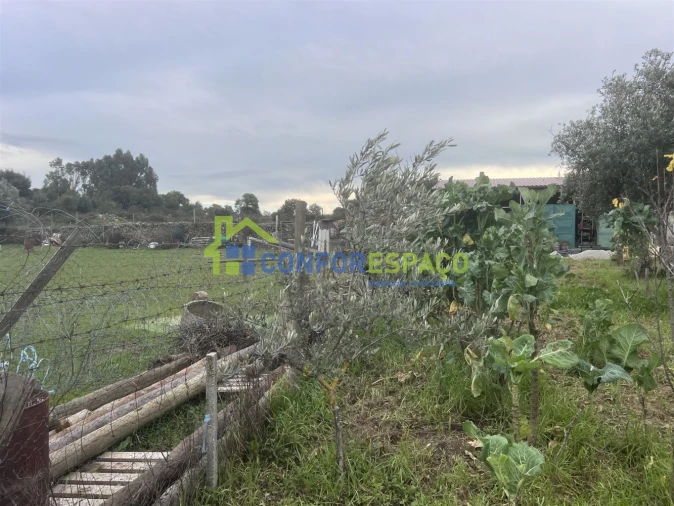 Quinta T0 para Venda em Escalos de Cima e Lousa Foto 10