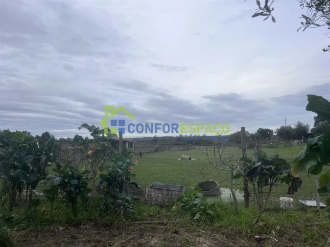 Quinta T0 para Venda em Escalos de Cima e Lousa Foto 9