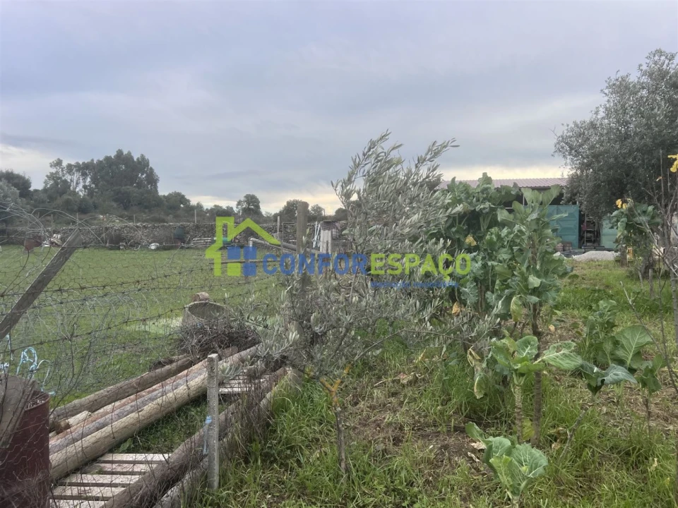 Quinta T0 para Venda em Escalos de Cima e Lousa Foto 10