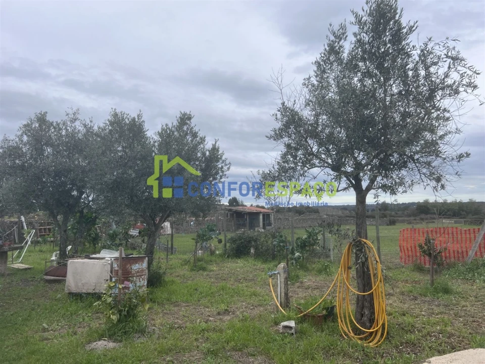 Quinta T0 para Venda em Escalos de Cima e Lousa Foto 14