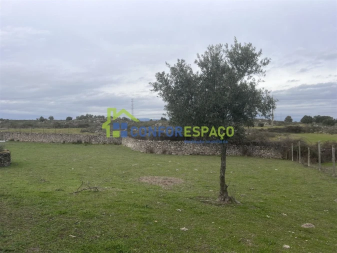 Terreno para Venda em Alcains Foto 7