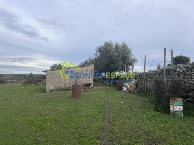 Terreno para Venda em Alcains Foto 3