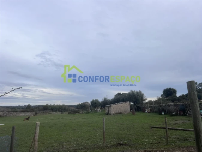 Terreno para Venda em Alcains Foto 2