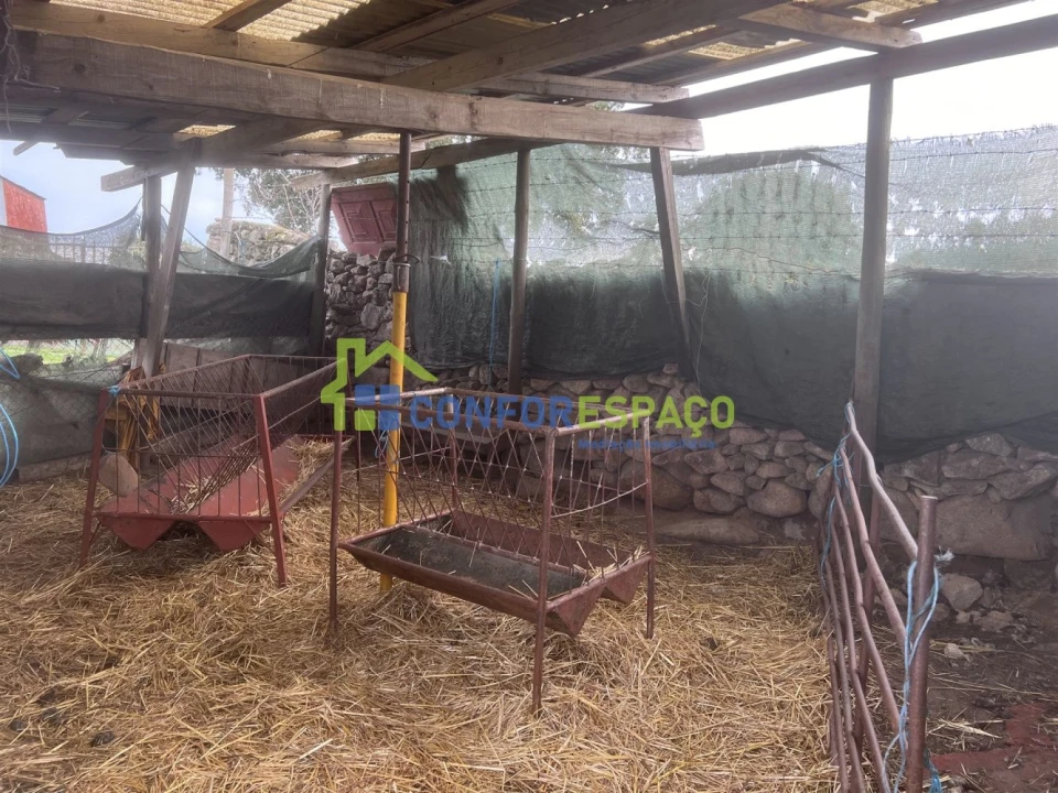Terreno para Venda em Alcains Foto 6