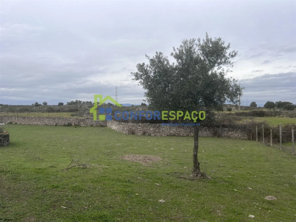 Terreno para Venda em Alcains Foto 7