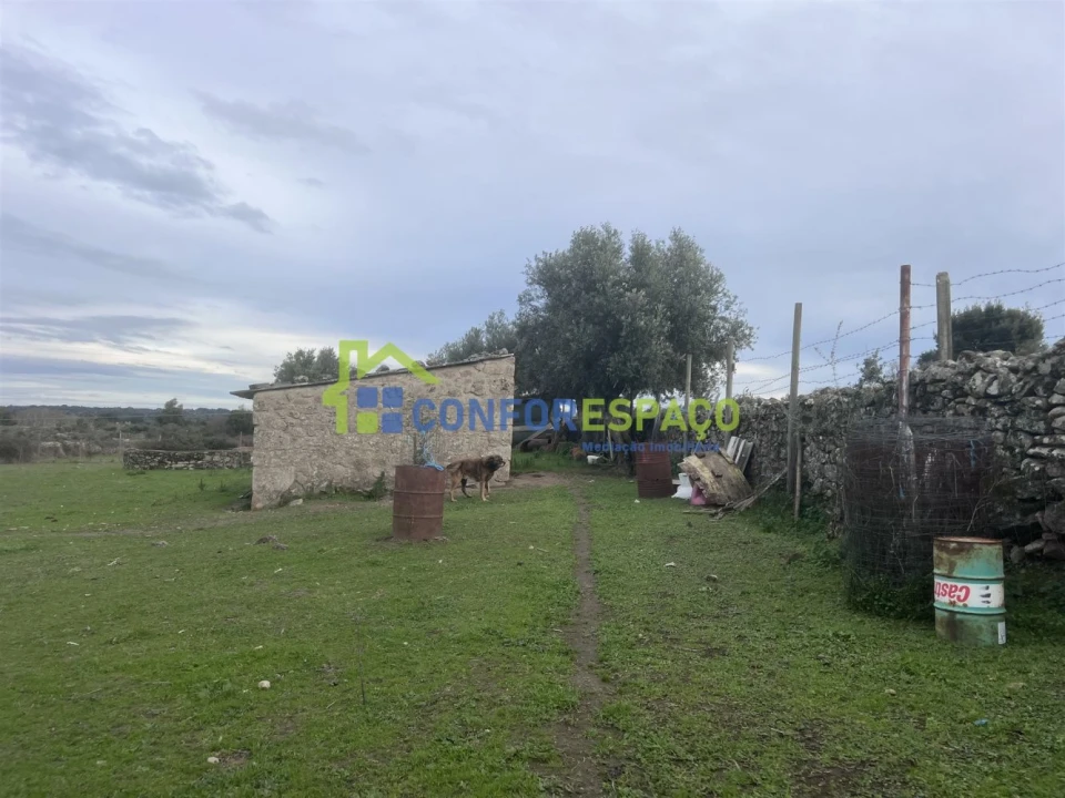Terreno para Venda em Alcains Foto 3